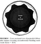 Circumferential buckling of a thin-walled projectile upon impact with a concrete target