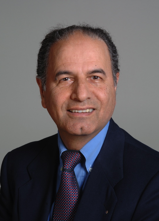 Professor Mehdi Farshad