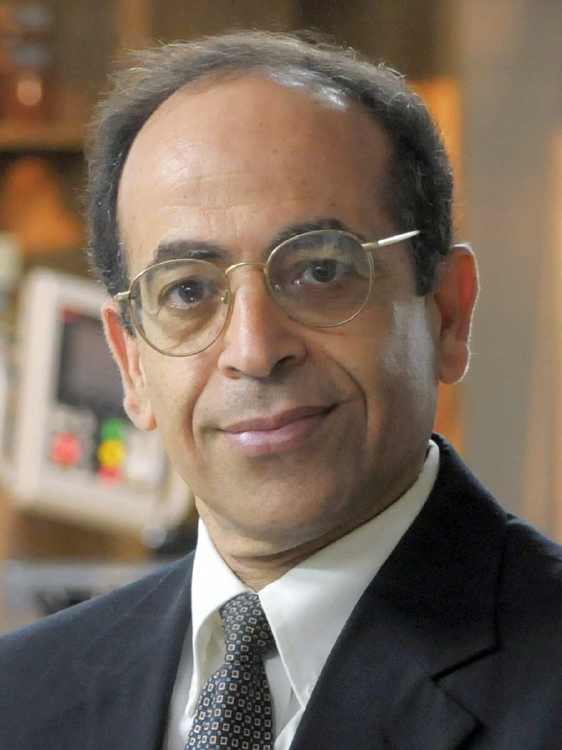 Professor Erian A. Armanios