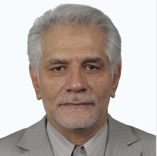 Professor Firooz Bakhtiari-Nejad