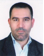 Professor Parviz Malekzadeh