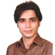Professor Saeed Rouhi