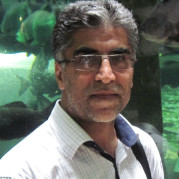 Professor Hossein Showkati