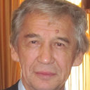 Professor V.N. Paimushin