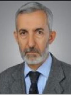 Professor Uemit Uzman