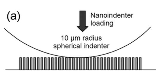 Spherical indenter applying axial compression to an array of multiwalled carbon nanotubes