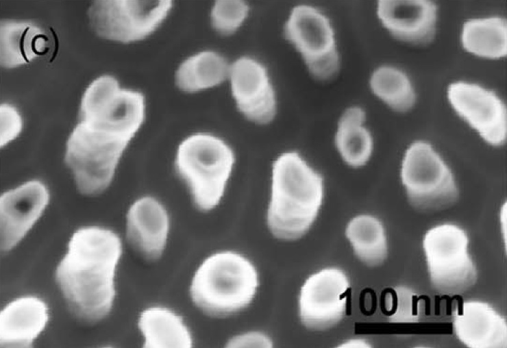 A close-up view of some of the buckled nanotubes