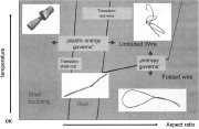 Nanotube buckling and folding