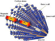 Double-walled carbon nanotube (DWCNT) subjected to axial magnetic field