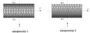 Functionally graded porosity in a nanoshell