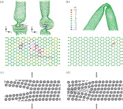 Nanotube postbuckling and fracture