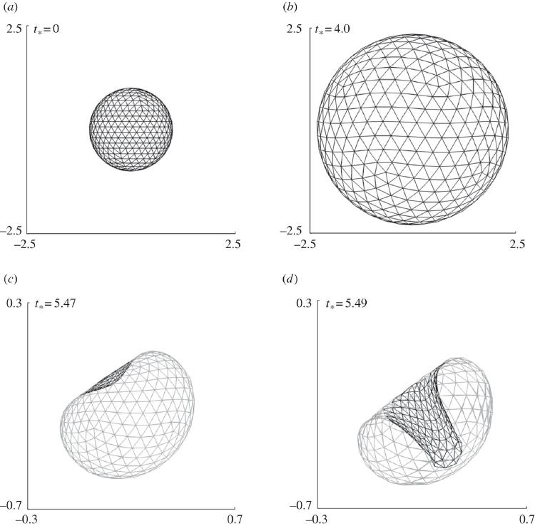 Cavitation (invagination) of a nano-spherical shell