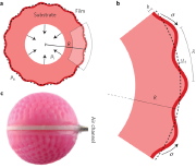 Wrinkling of a thin film on a shrinking spherical substrate