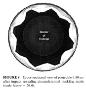 Circumferential buckling pattern of the projectile