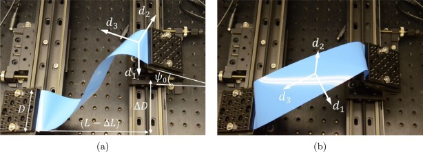 Buckling and large deflection of thin band