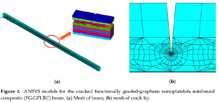 A cracked functionally graded composite beam