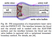Fluid-structure interaction of an artificial heart valve and neighborhood
