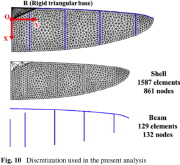 Shell and beam discretizations of the insect wing