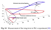Wing deformation during flapping