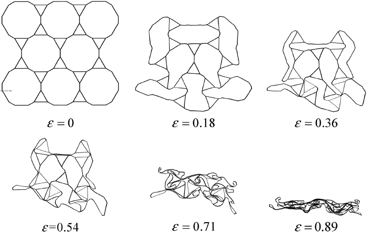 Deformation history (L-direction) of several honeycomb cells