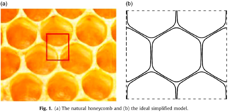 The natural honeycomb and an ideal simplified model