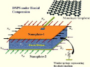 Sandwich nano-plate under biaxial compression