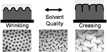 Solvent-induced transition of surface instability from wrinkles to creases