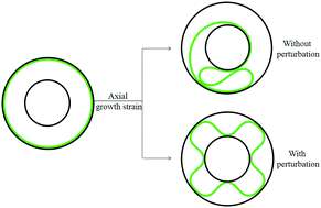 Buckling of a ring in an annular channel
