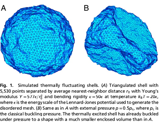 Soft thermally distorted spherical shell (capsid, microcapsule, cell) buckling under external pressure