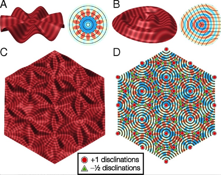 Yet more on wrinkled membranes