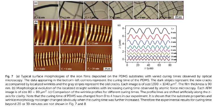 Wrinkled stripes localized by cracks in metal films deposited on soft substrates