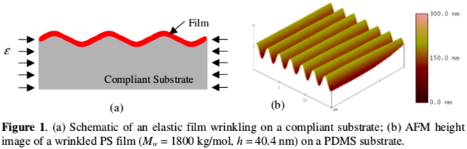 Wrinkling of ultra-thin polymer film on a compliant substrate