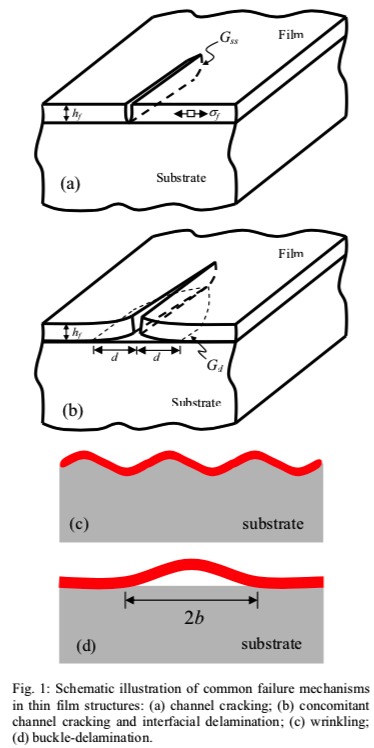Fracture, delamination, and buckling of elastic thin films on compliant substrates