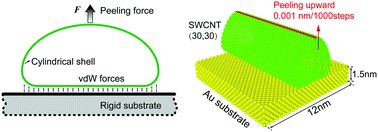 The peeling behavior of compliant cylindrical shells in adhesive contact with a planar rigid substrate