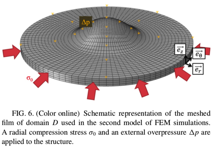 Finite element model of a delaminated thin film under in-plane compression and downward pressure