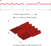 Wrinkle/ridge transitions in thin film/substrate systems