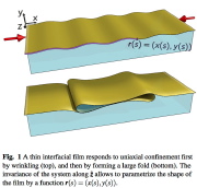 Wrinkles followed by large folds in axially compressed thin film on compliant substrate
