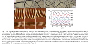 Wrinkled stripes localized by cracks in metal films deposited on soft substrates