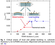 Global buckling and wrinkling (local buckling) of an axially compressed bi-layer