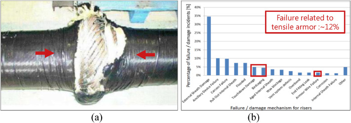 Buckling of the multi-layered flexible offshore pipe under the condition shown in the previous image