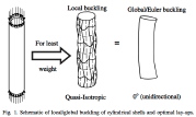 Interaction of local and Euler buckling of an axially compressed laminated composite cylindrical shell